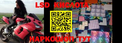 прущие крисы Можга