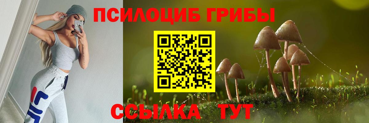 Златоуст  Галлюциногенные грибы прущие грибы  Вход с VPN 